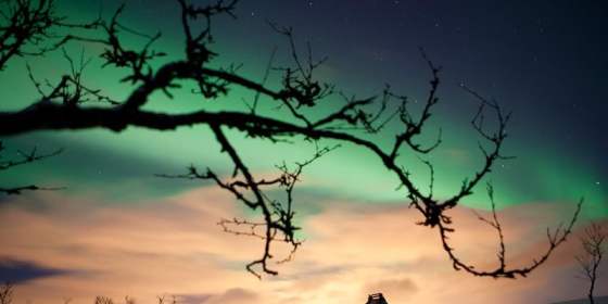 Dog Sledding with Sami Dinner - Evening - Tromsø Villmarkssenter
