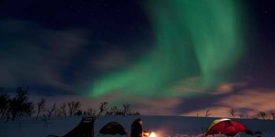 Dog Sledding Expedition 2 days - Tromsø Villmarkssenter