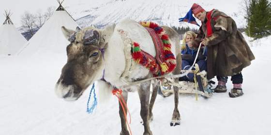 Northern Lights Reindeer Sledding - Lyngsfjord Adventure