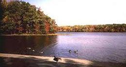 Outdoor Attractions in Burke, Clifton and Lorton