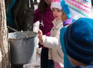Fenner Maple Syrup Festival