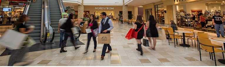Shopping