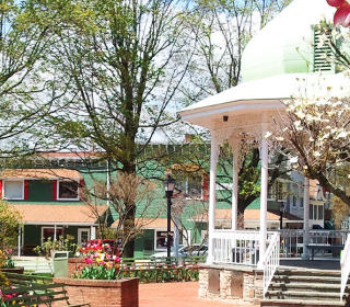 Civic & Community Organization