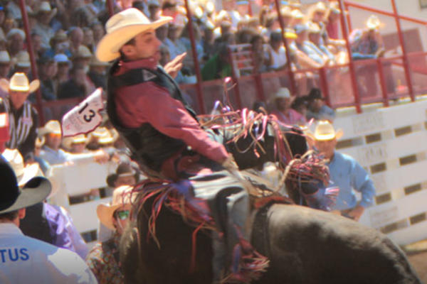 Cheyenne Frontier Days