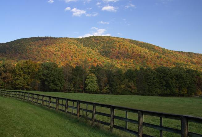 2016 Fall Color Schedule For Virginia S Blue Ridge