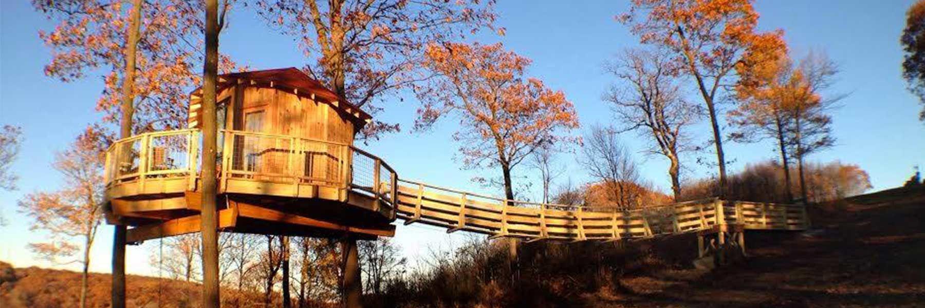 Summit Inn Treehouse