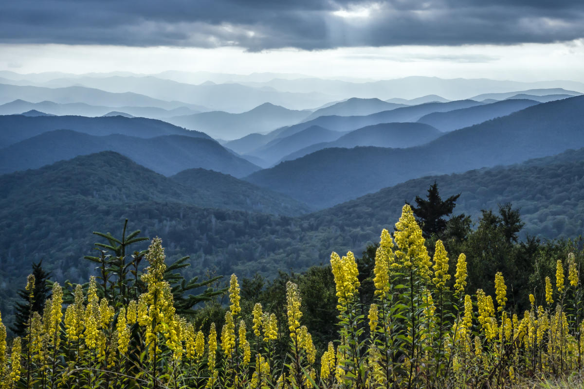 Asheville's Best Outdoor Adventures | Asheville, NC's Official Travel Site