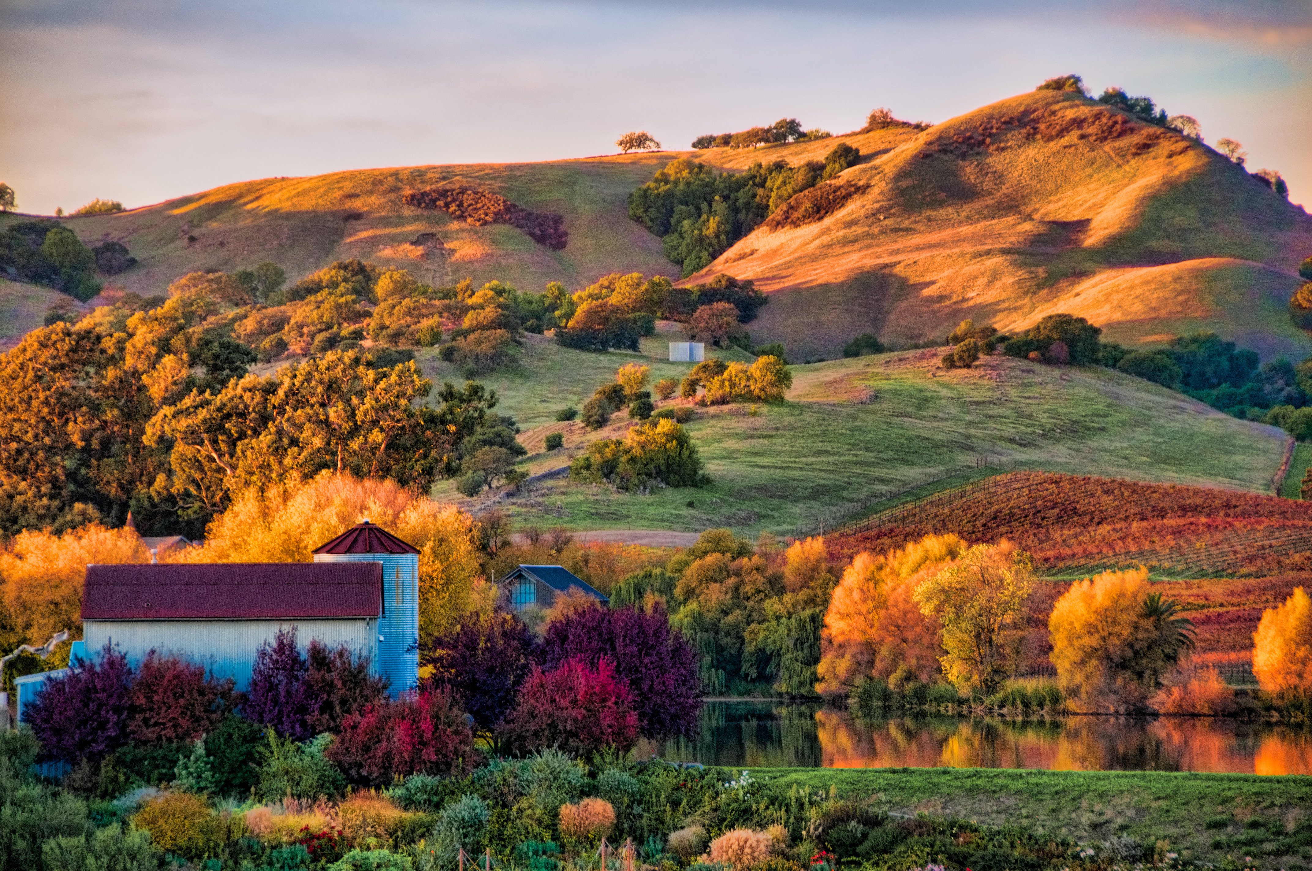 Napa Valley Winery Map And Official Visitor s Guide Information Visit 