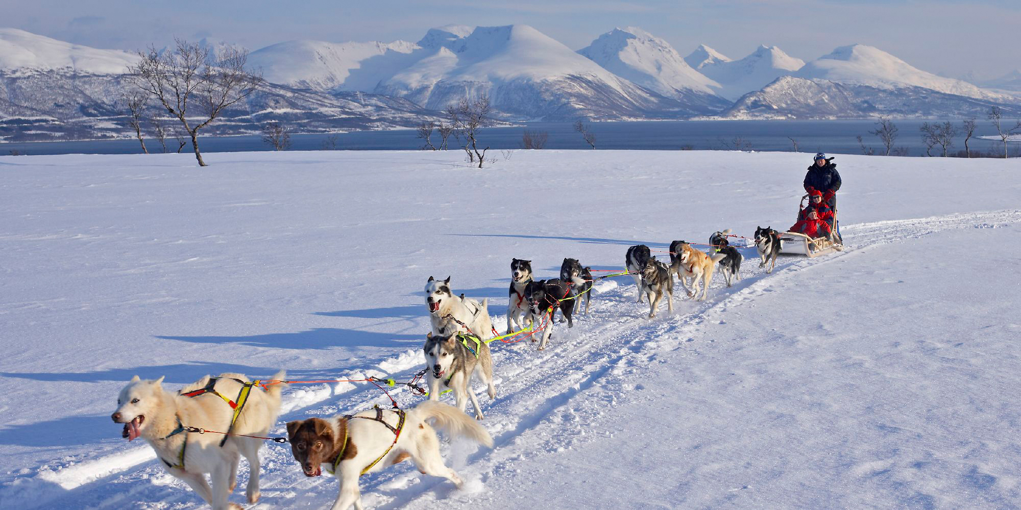 dogging stavanger eskort tromsø dogging stavanger eskort tromsø