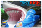 Shark Party Water slide
