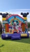 Mickey Bouncer for Small Yards