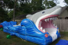 Shark Inflatable Wet Slide