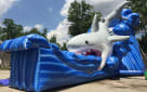 Rent a Shark Themed Inflatable Slide