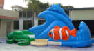Right Side Turtle Beach Water Slide