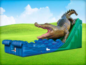 Alligator Bounce House Rental