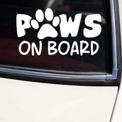 Hund i bilen klistermærke #3
