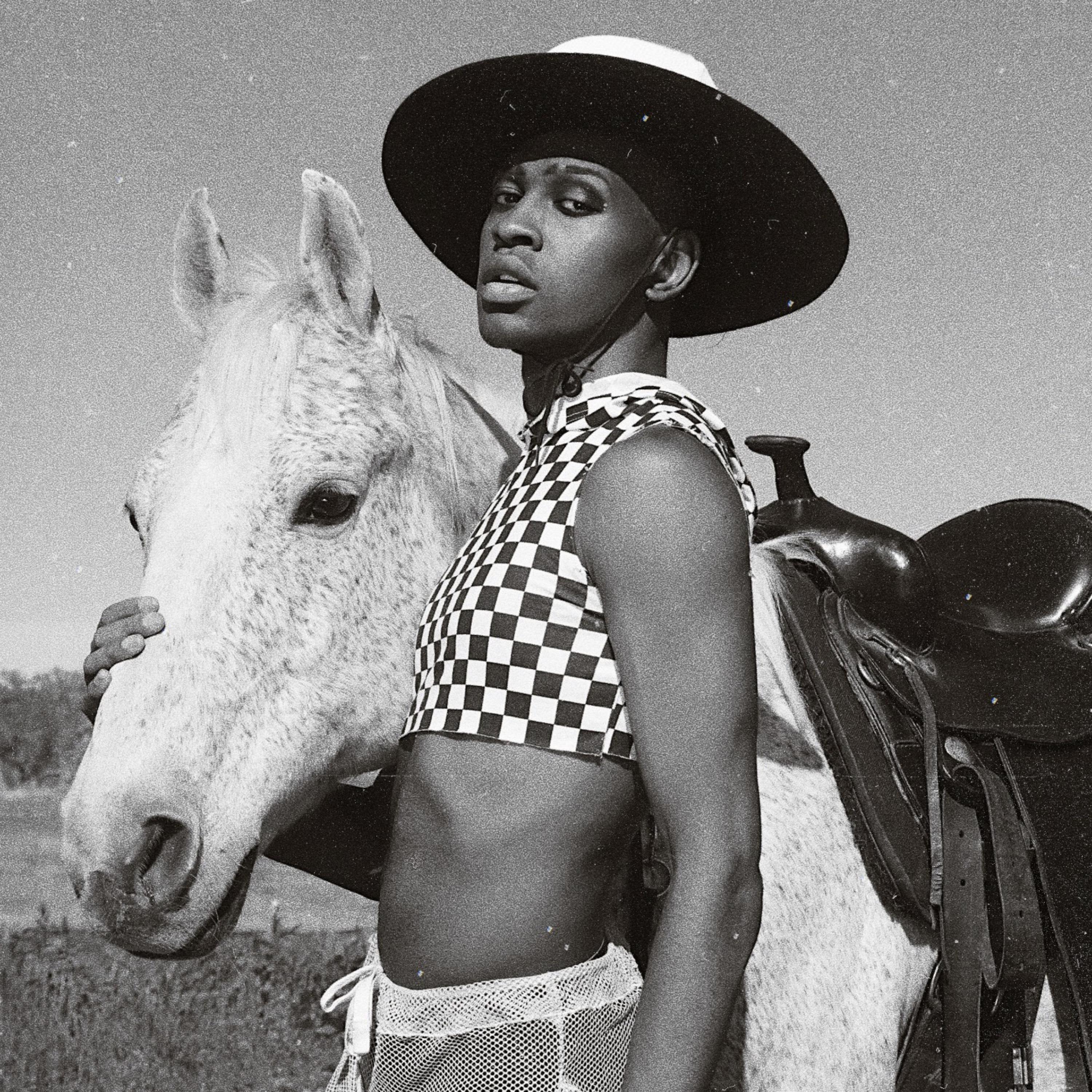 White Pony