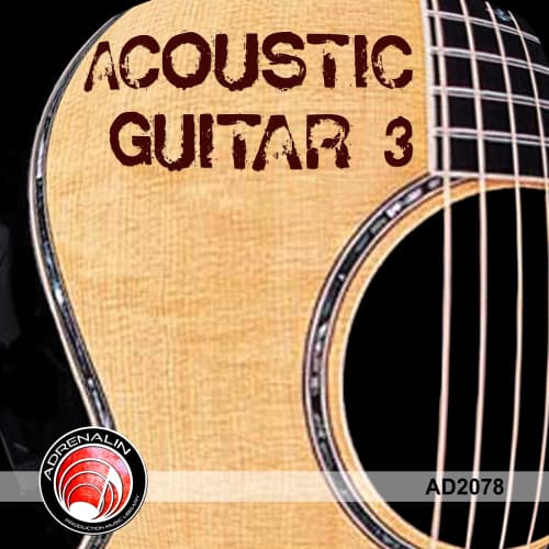 Acoustic Guitar 3