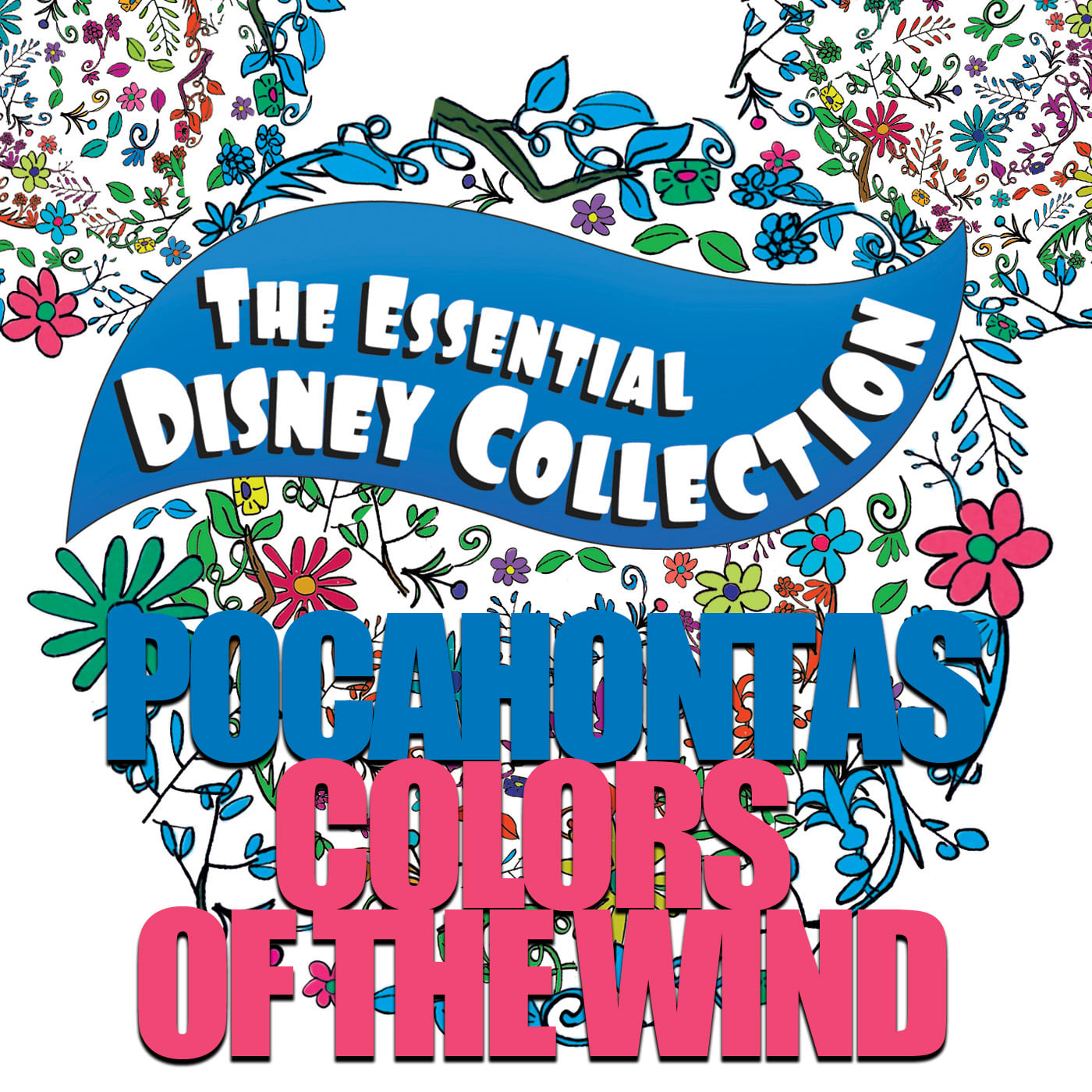 Pocahontas - Colors of the Wind INSTRUMENTAL