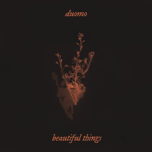 Beautiful Things (Benson Boone Cover) (Extended Version)