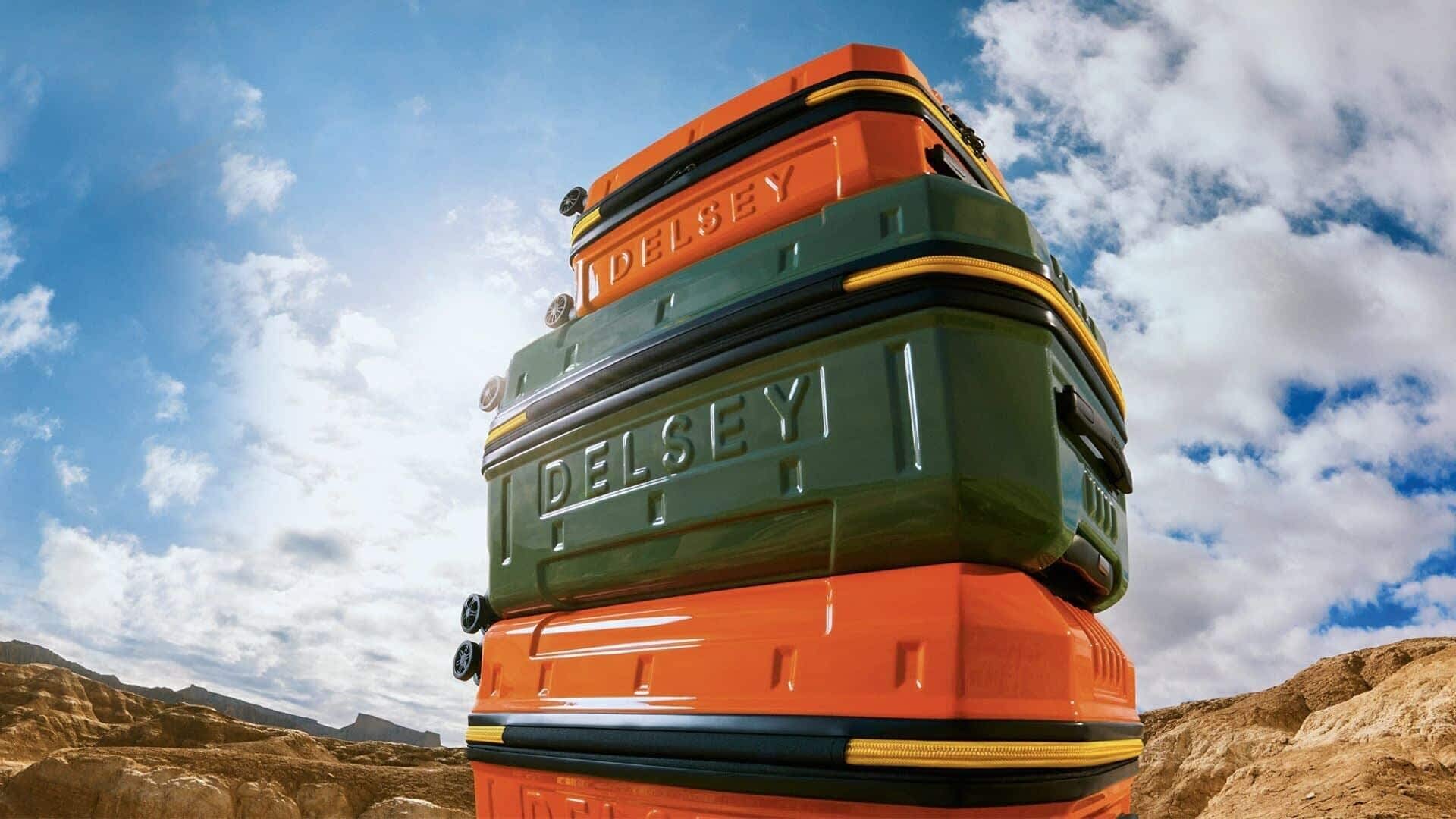 DELSEY PARIS