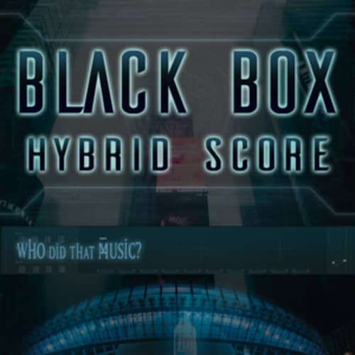 Black Box Hybrid Score
