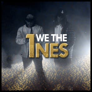 We The 1NES