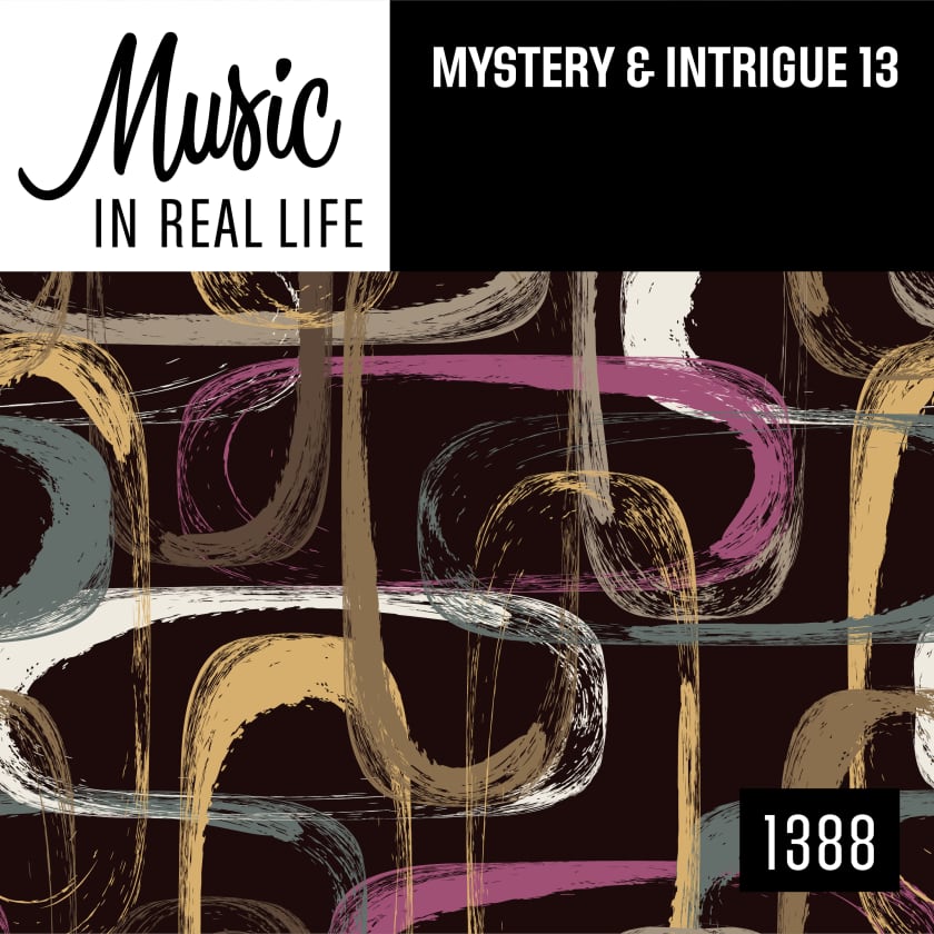 Mystery And Intrigue 13