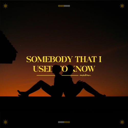 Somebody That I Used To Know (Gotye Cover)