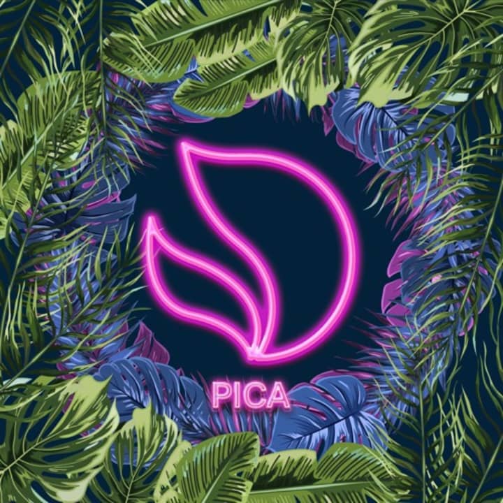 PICA