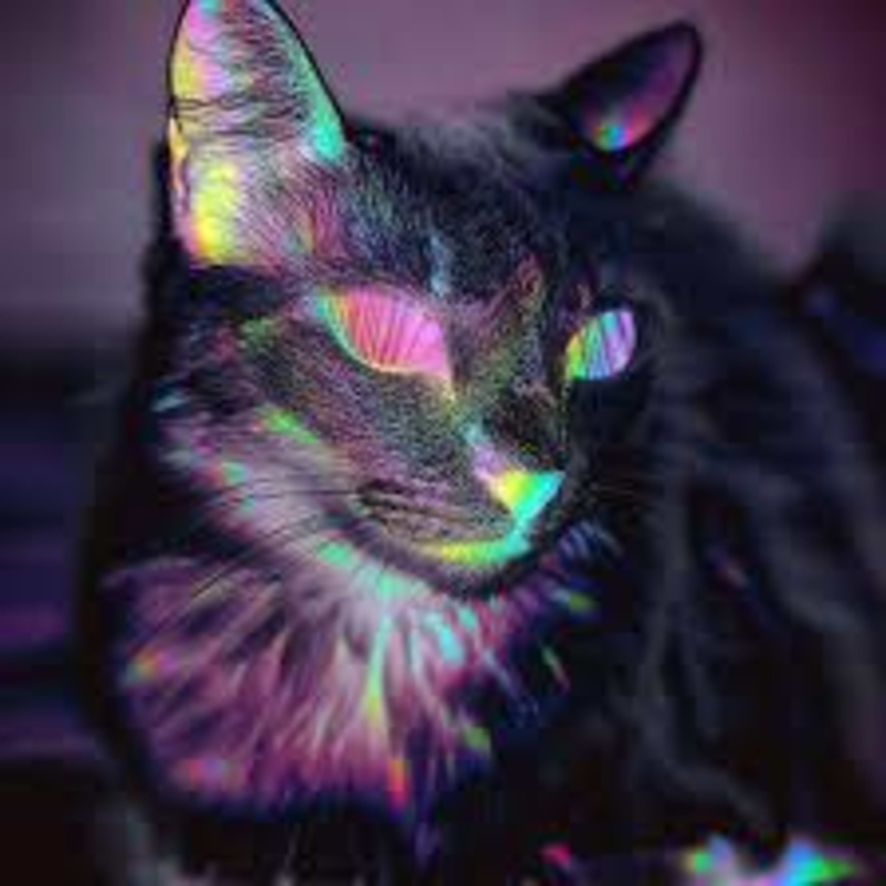 cat speed