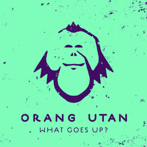 What Goes Up? - Single
