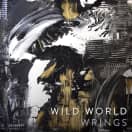 Wild World (Cat Stevens Cover)