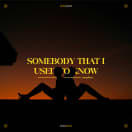 Somebody That I Used To Know (Gotye Cover)