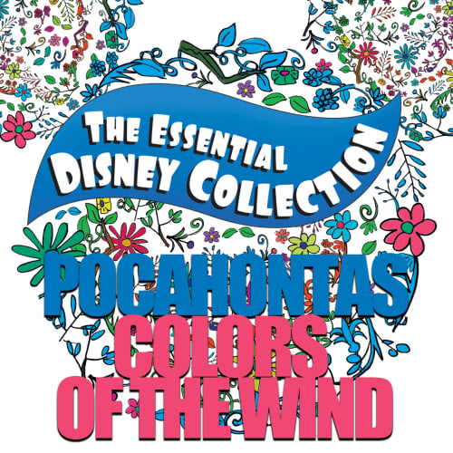 Pocahontas - Colors of the Wind INSTRUMENTAL