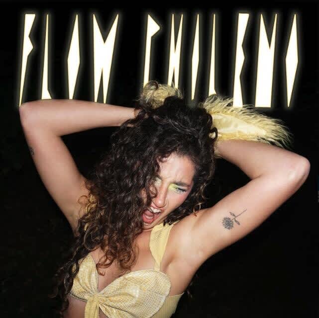 FLOW CHILENO (Instrumental)