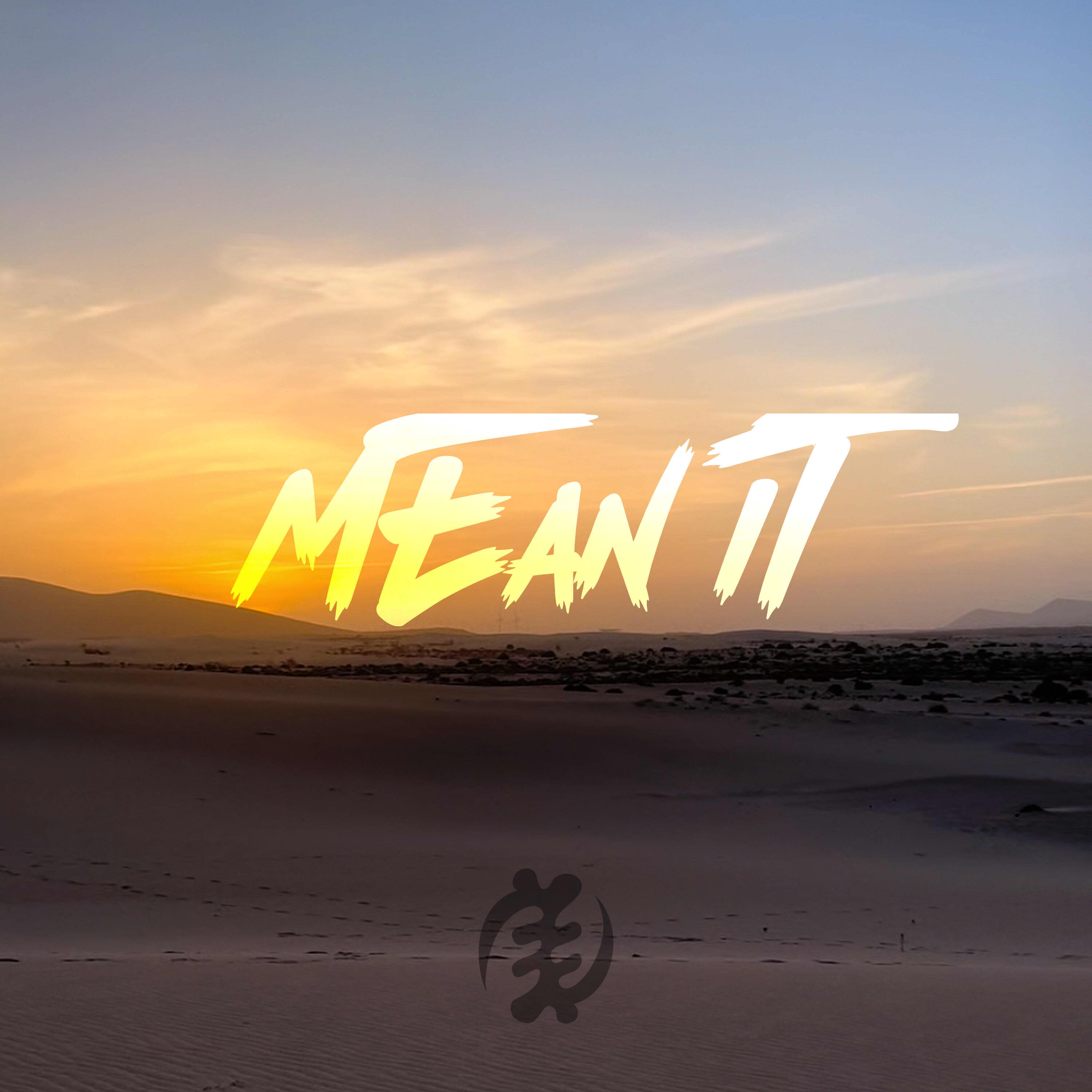 Mean It (Instrumental)