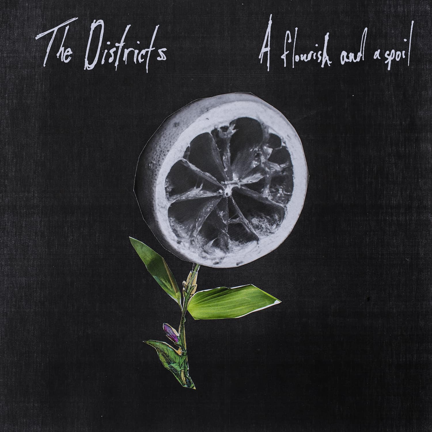 The Districts Release Long Awaited Album &quot;A Flourish and a Spoil&quot;