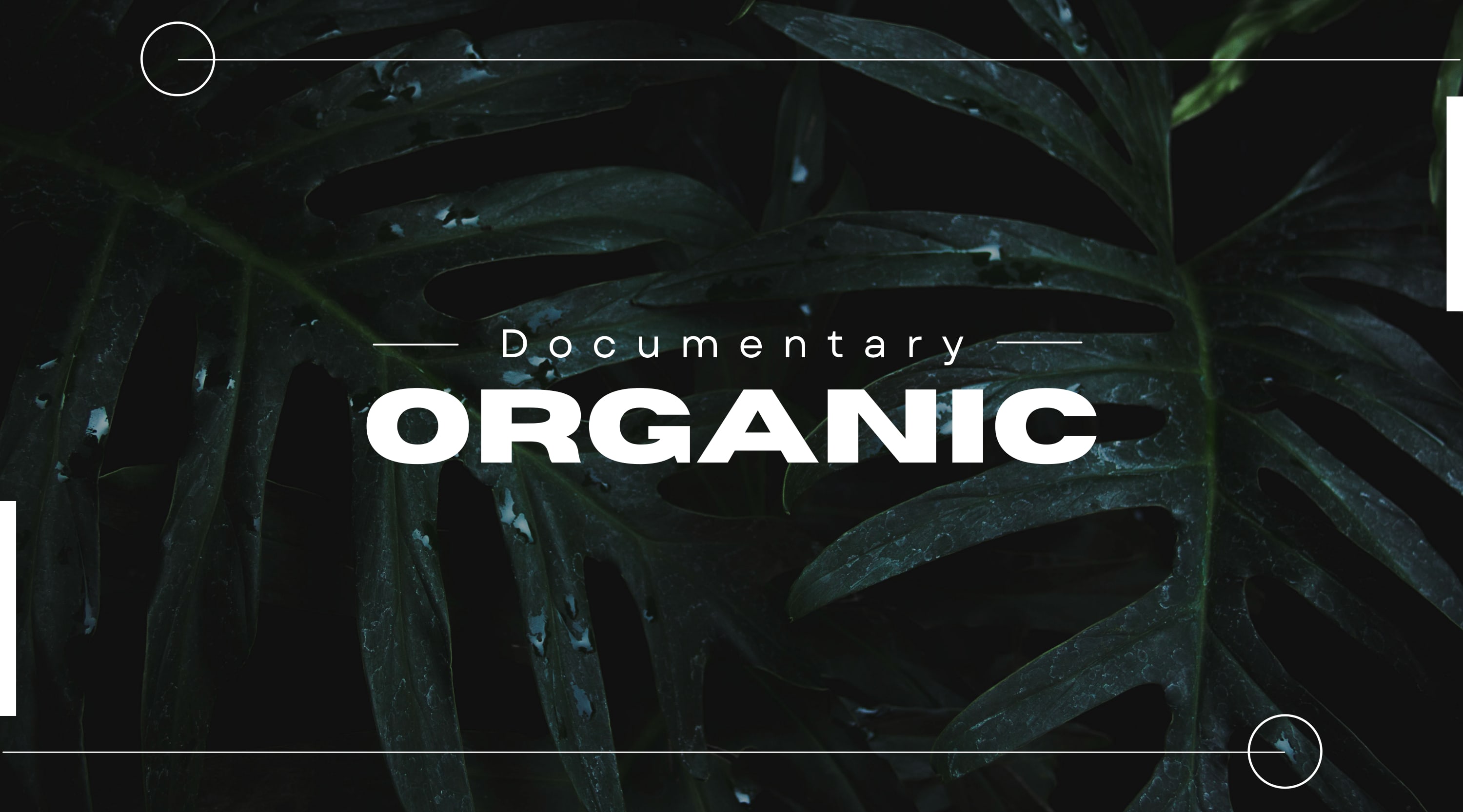Documentary Special: Organic