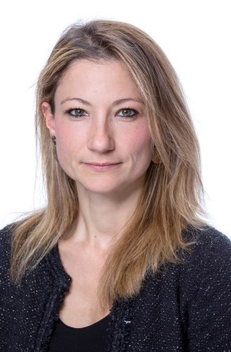 Contractual Interpretation in English and French Law