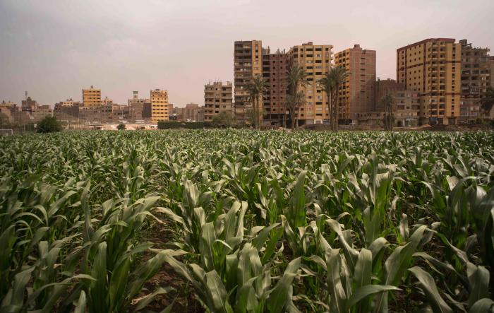 India Losing Its Agriculture Land In The Name Of Urbanization