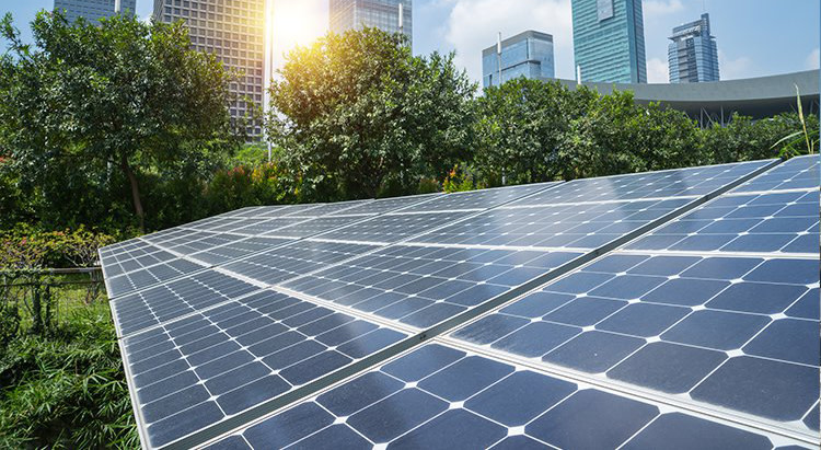 Tim Flannery on Cities, Climate Change and Solutions