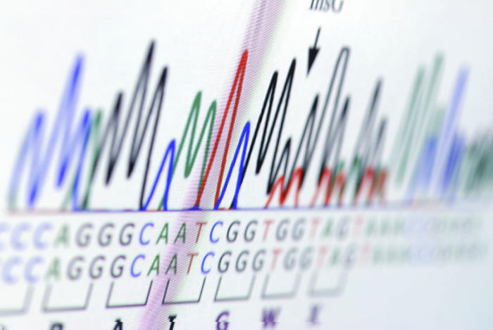 Analysing the genetic differences between those with and without cancer helps scientists identify disease pathways. Picture via iStock