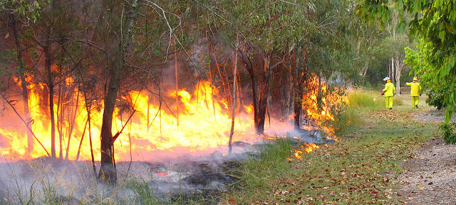 Even fires rest on Sunday | Pursuit by The University of Melbourne