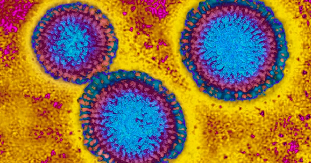 Our ‘killer’ cells’ role in lifelong flu vaccine Pursuit by The