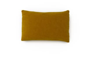 Honey Mustard Cushion