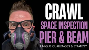  Inspecting a Unique Pier and Beam Foundation: Challenges and Insights 