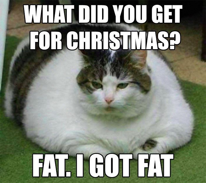 10 Funny Yet Fun Memes Showing That December is Coming