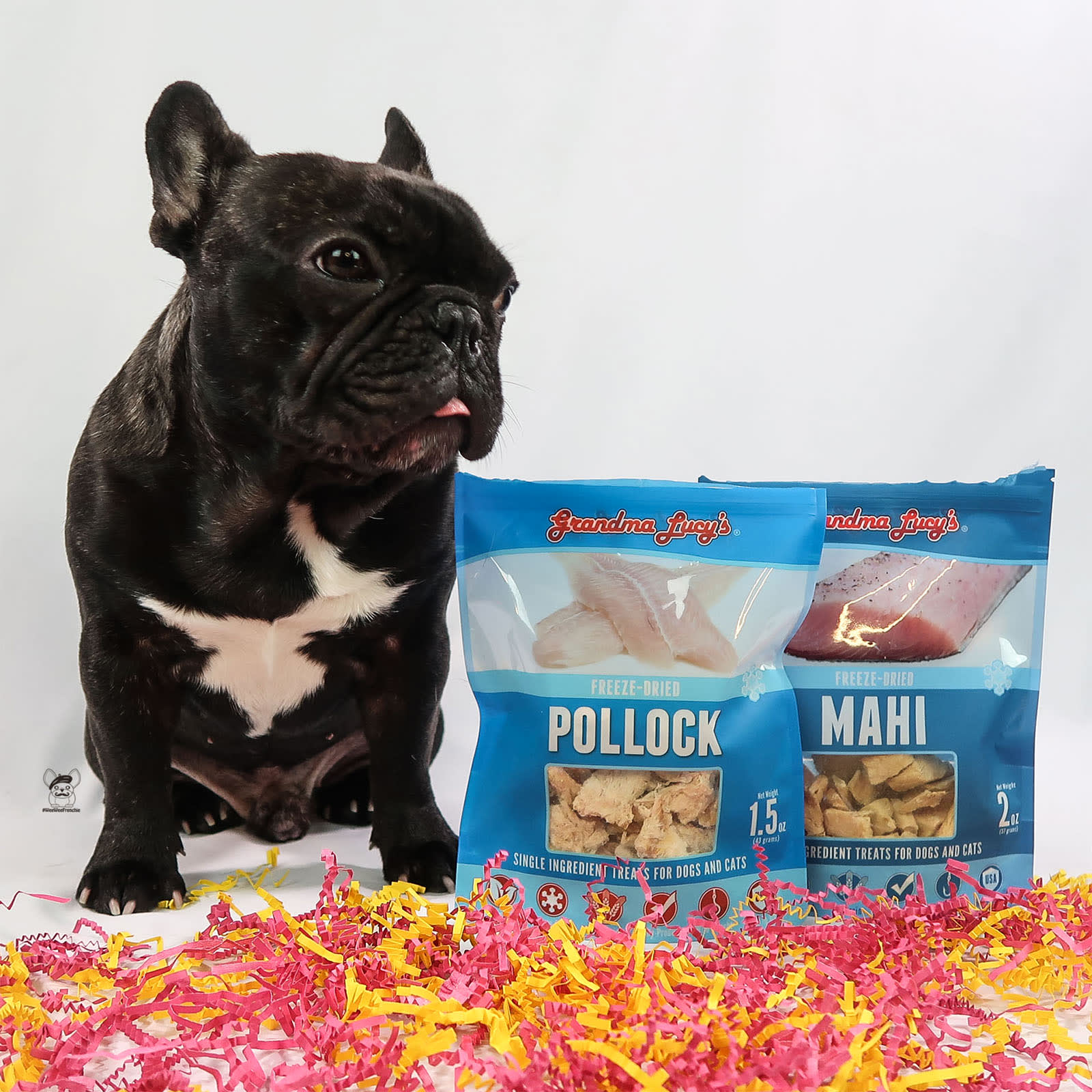 Fish Treats for Dogs