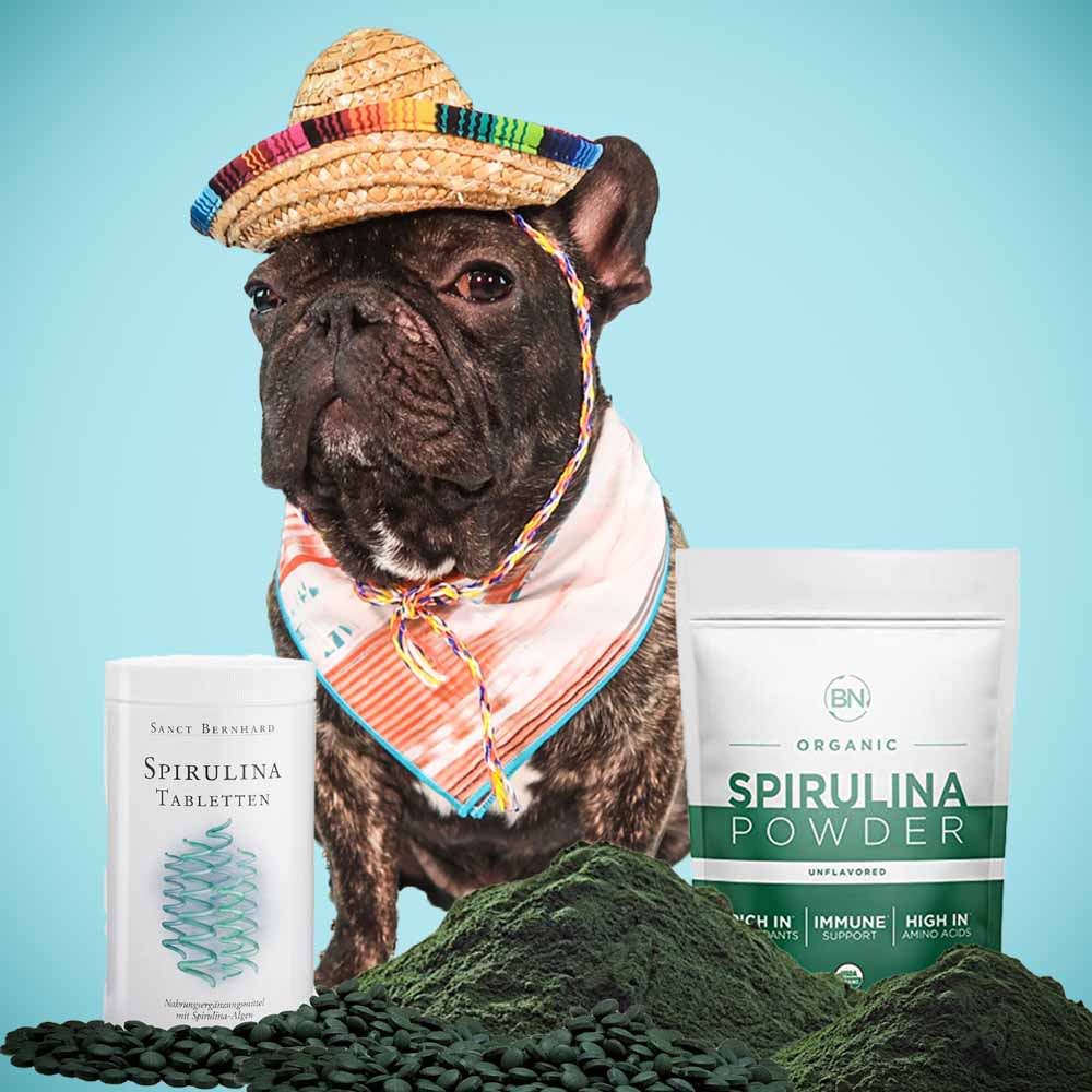 Spirulina, A Powerful Antioxidant, & Its Use In Dogs